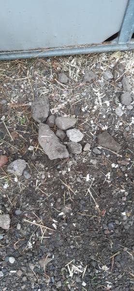 Vale View Equestrian