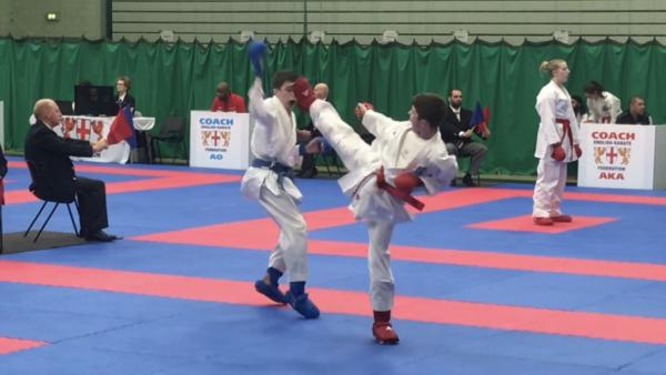 Freestyle Combat Karate (Sekf)