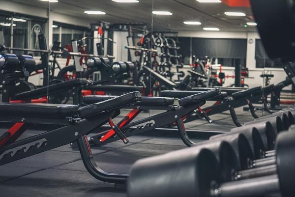 Force Fitness