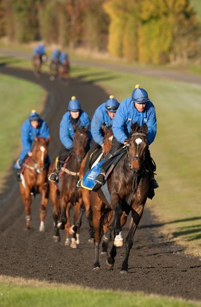 Jonjo O'Neill Racing