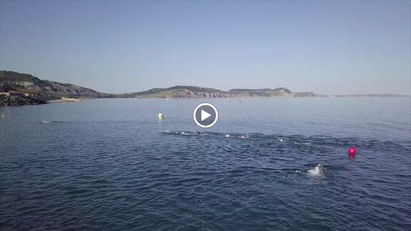 Lyme Bay Swimming