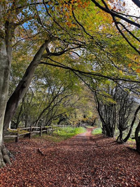 White Lane Farm Riding School