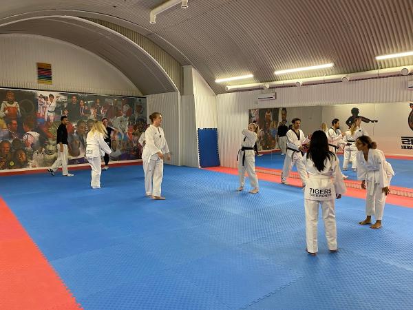 Tigers Taekwondo Academy