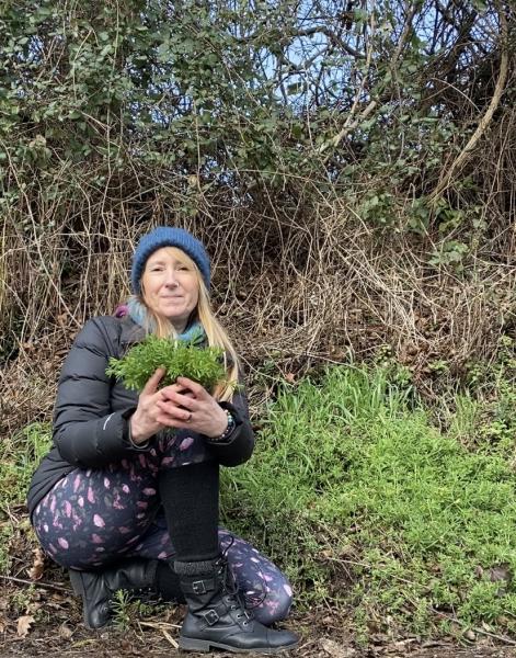 Inner Balance Sacred Space