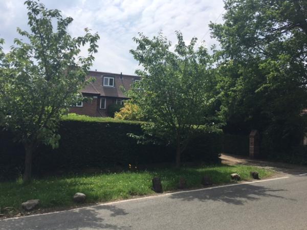 Surrey Hills Language Tutoring