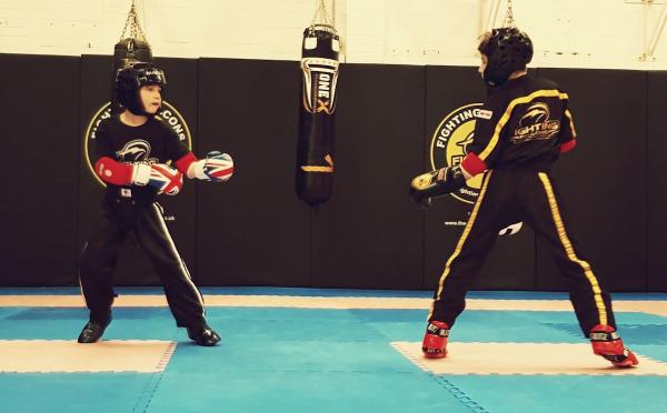 Fighting Falcons School of Martial Arts
