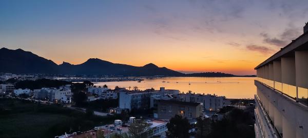 Primed Coaching: Triathlon and Ironman Coaching Services