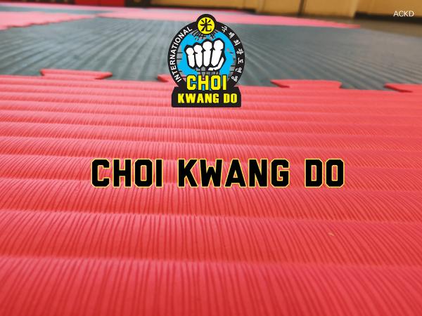 Adapt Choi Kwang Do