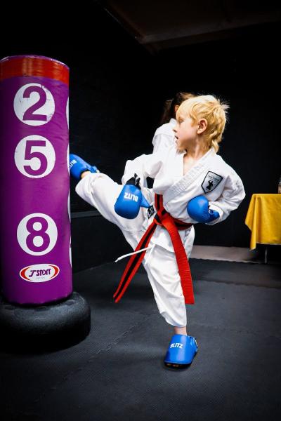 Little Lions Karate Club