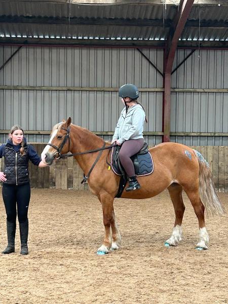 Liege Manor Equestrian Centre