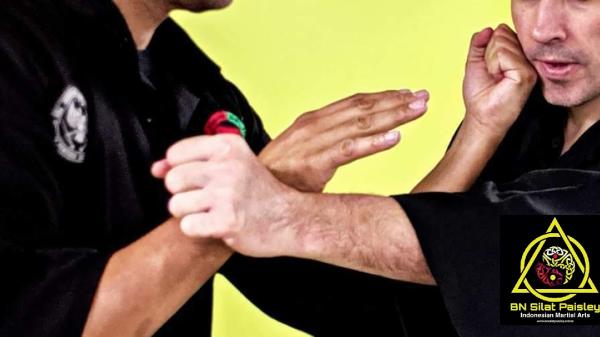 BN Silat Paisley