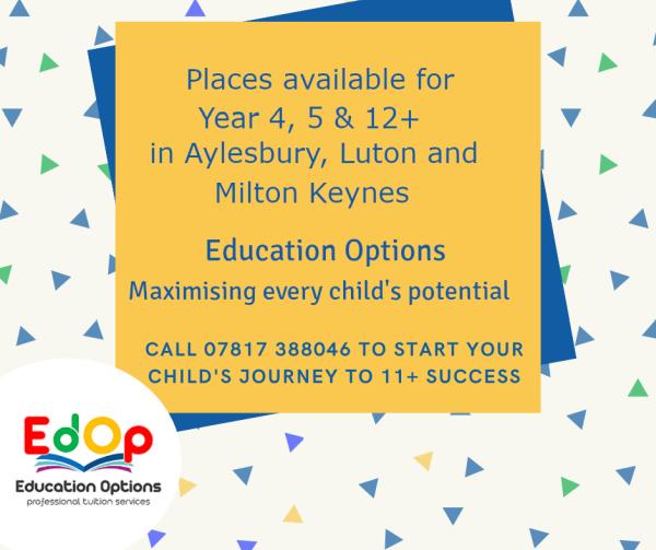 Education Options 11plus