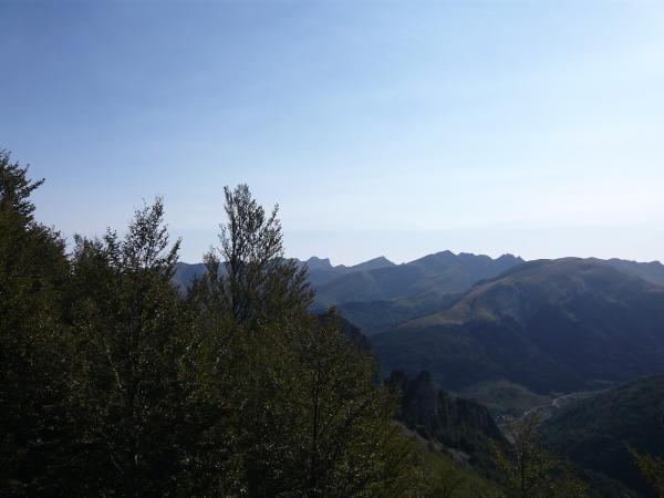 Spanish Tutoring in Rayleigh