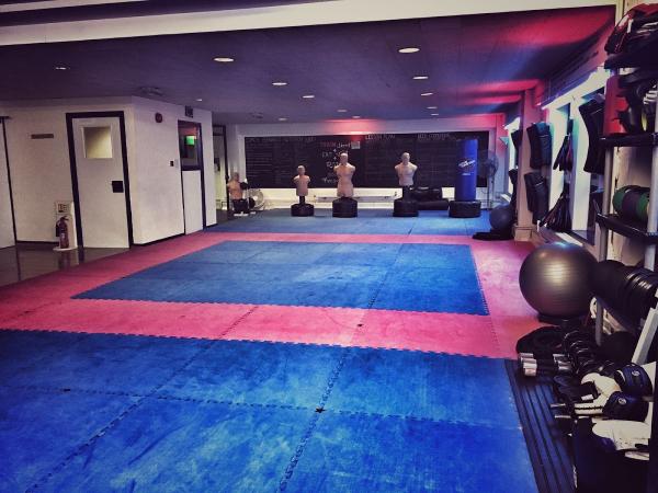 Precision Martial Arts Camberley