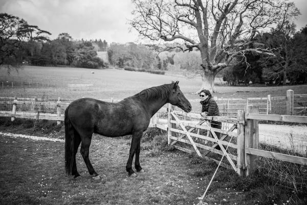 The Classical Riding Academy