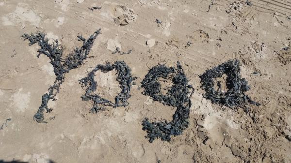 Finding Balance Yoga