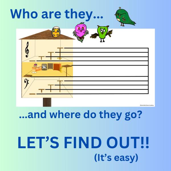 Early Birds Music Academy