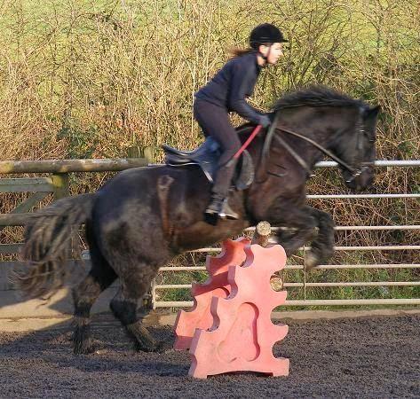 Woodside Riding School