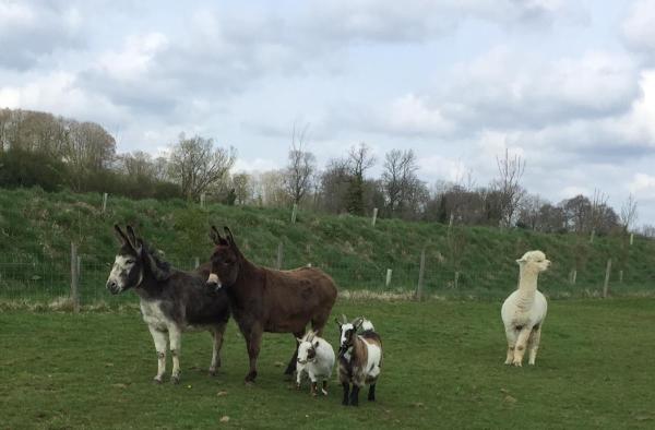 Bourton Vale Equestrian Centre
