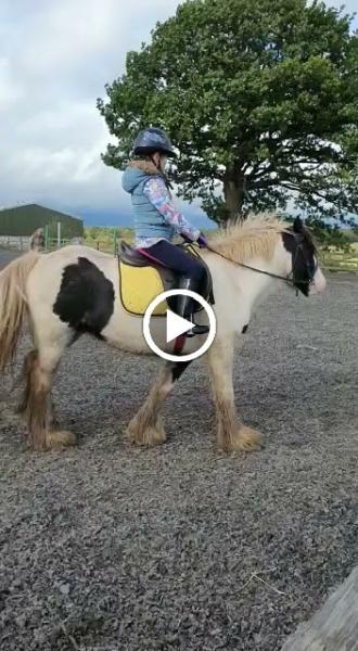 Tapitlaw Riding School