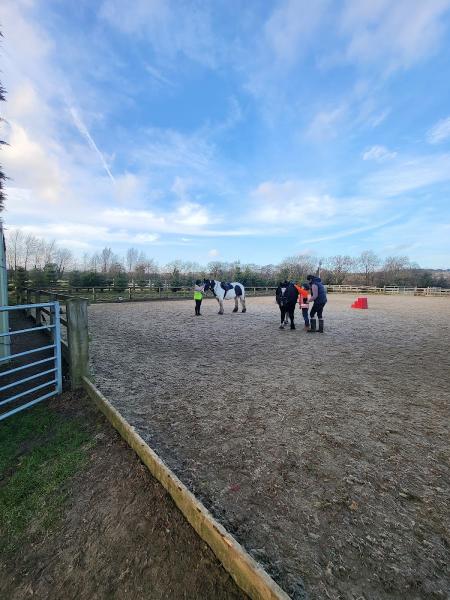 Hollies Riding School