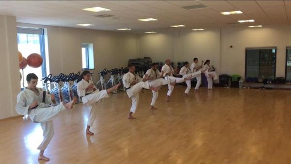 Seishin Karate Brighton