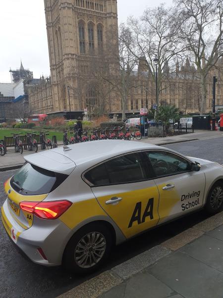 Driving Instructor Gentian
