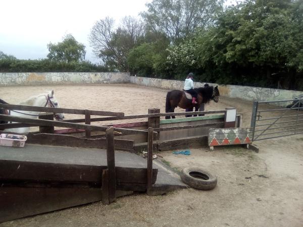 Villa Mar Riding School