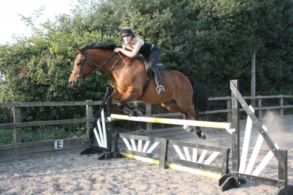 Bassingfield Riding School