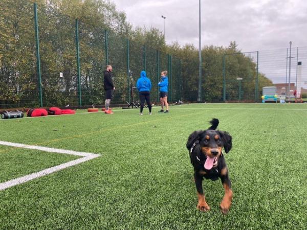 Victory Bespoke Fitness Ltd