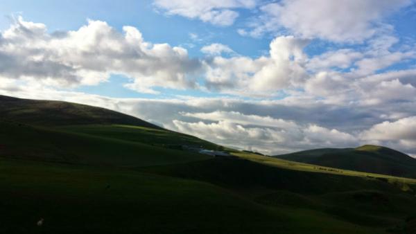 Pentland Hills Horse Livery (Trss Approved Centre)
