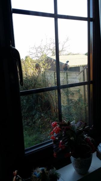 Mike Donaghy Music Tuition