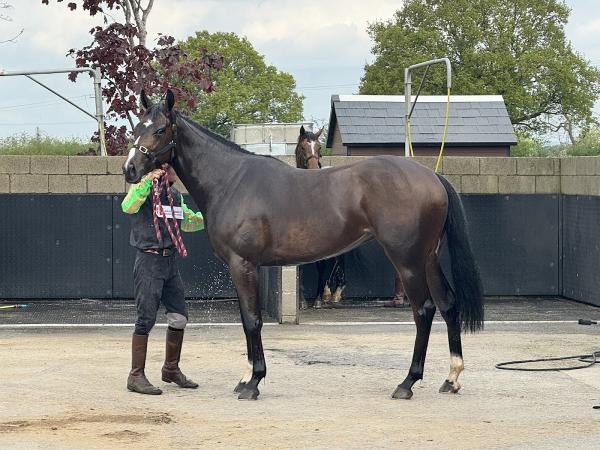 Craig Lidster Racing