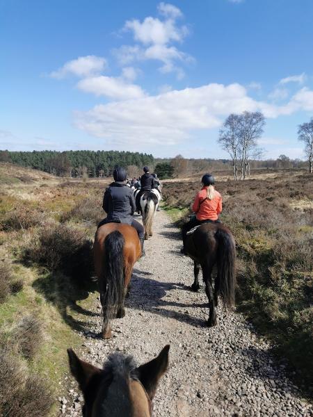 Cannock Chase Trekking Centre