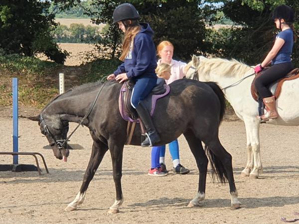 Bushes Equestrian Centre in Dorset