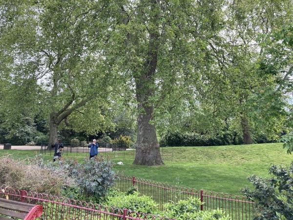 MDA West London Tai Chi (Battersea)