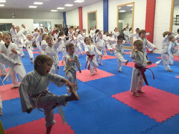 Karate Leadership UK (Ashford)