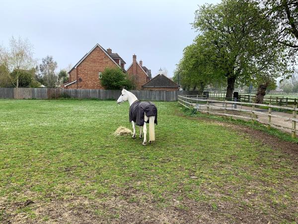 Arrow Riding Centre