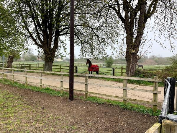 Arrow Riding Centre