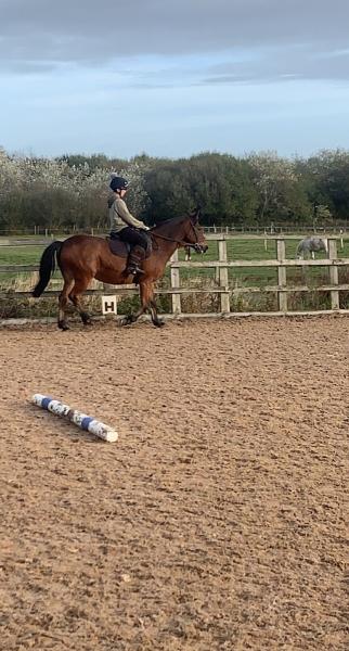 Bowlers Riding School Ltd
