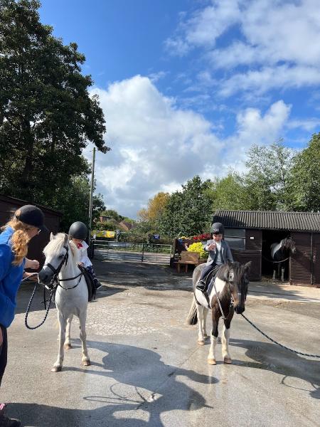 Bowlers Riding School Ltd