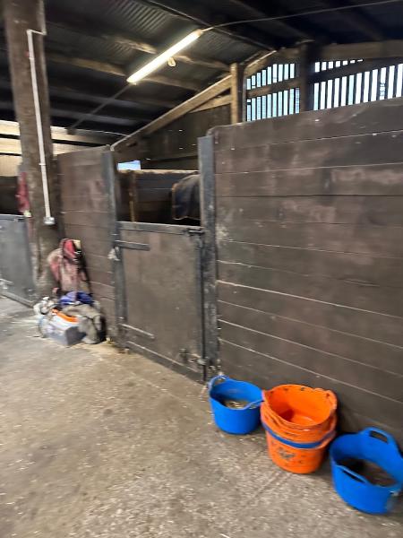 Heddon Laws Stud & Preparation Centre