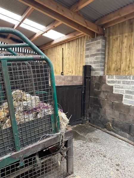 Heddon Laws Stud & Preparation Centre