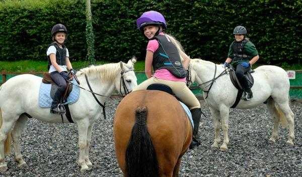 Lavant Equestrian