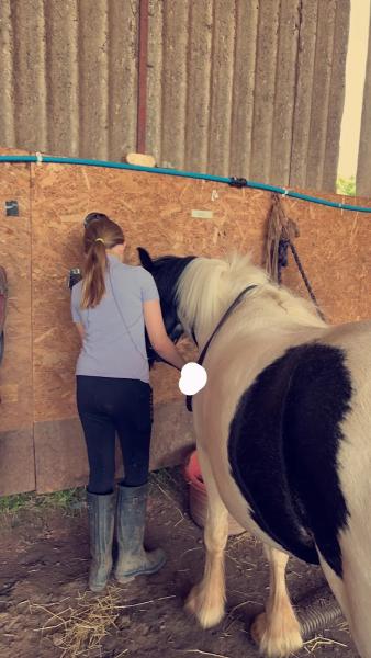 Debdale Riding School