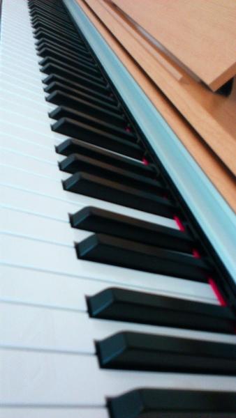 Piano & Music Theory Tuition