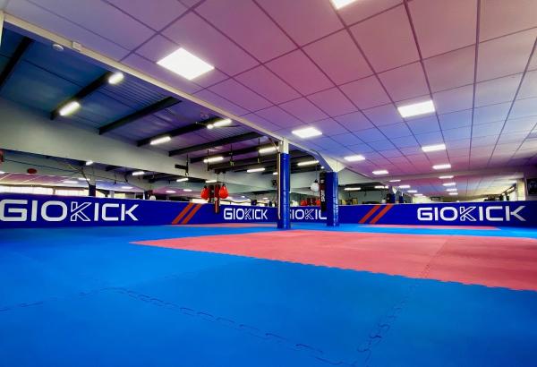 Giokick Martial Arts