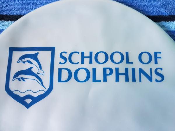 School Of Dolphins