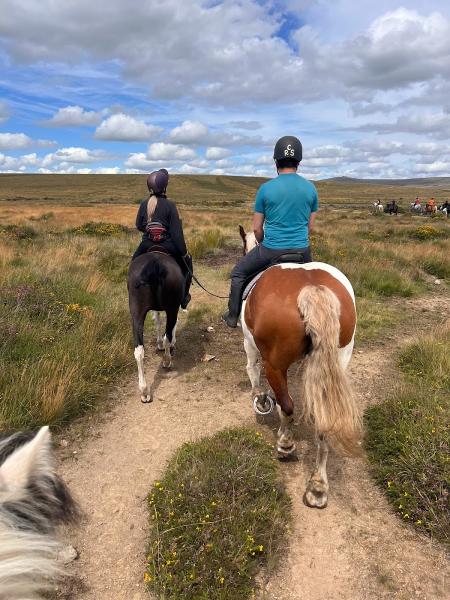 Cholwell Riding Stables.