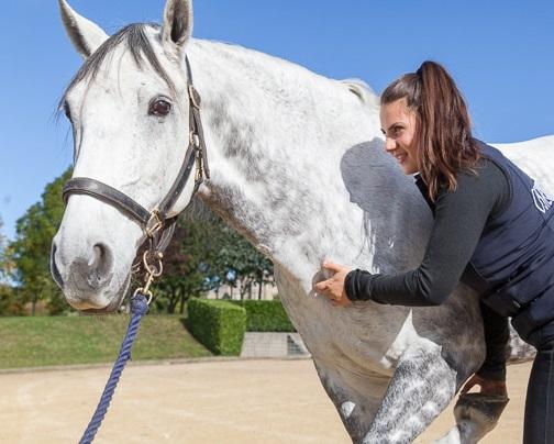 PB Osteopathy Human & Equine